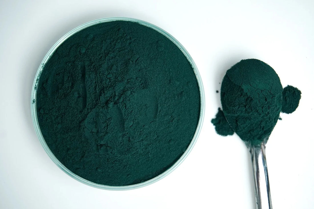 Spirulina: The Ocean's Superfood